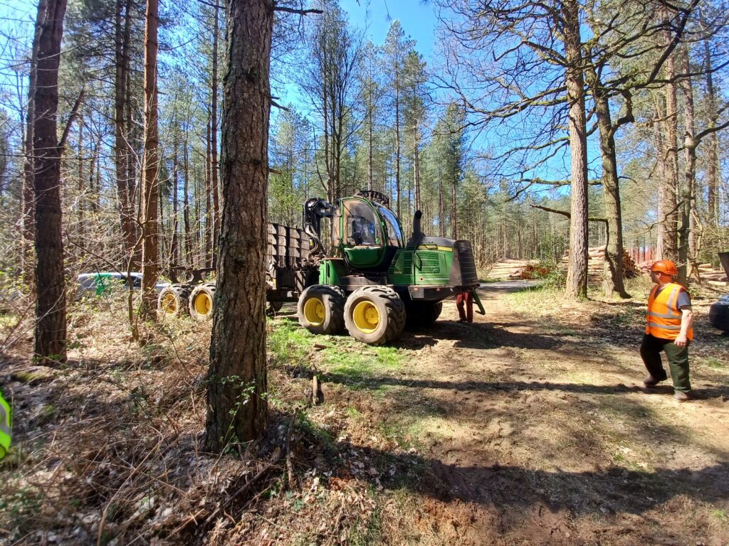 Forestry Forwarder machine at work in the forest with staff