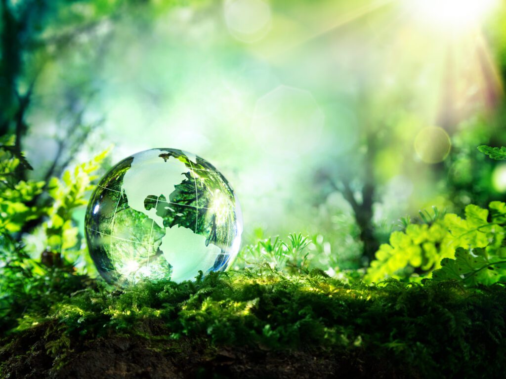 globe with green leaf background