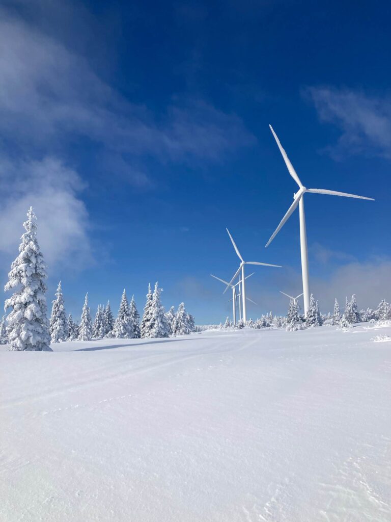 Jessie Moffitt, Wind Turbine Technician for Fairwind trees and wind turbines in snow