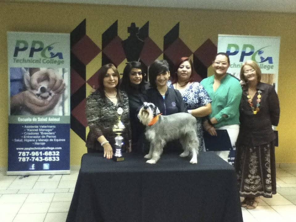 Yvette Ocasio graduation from college Clinical Laboratory Science and Medical Technology