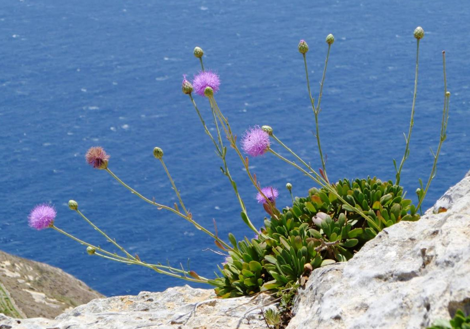 Group cover image