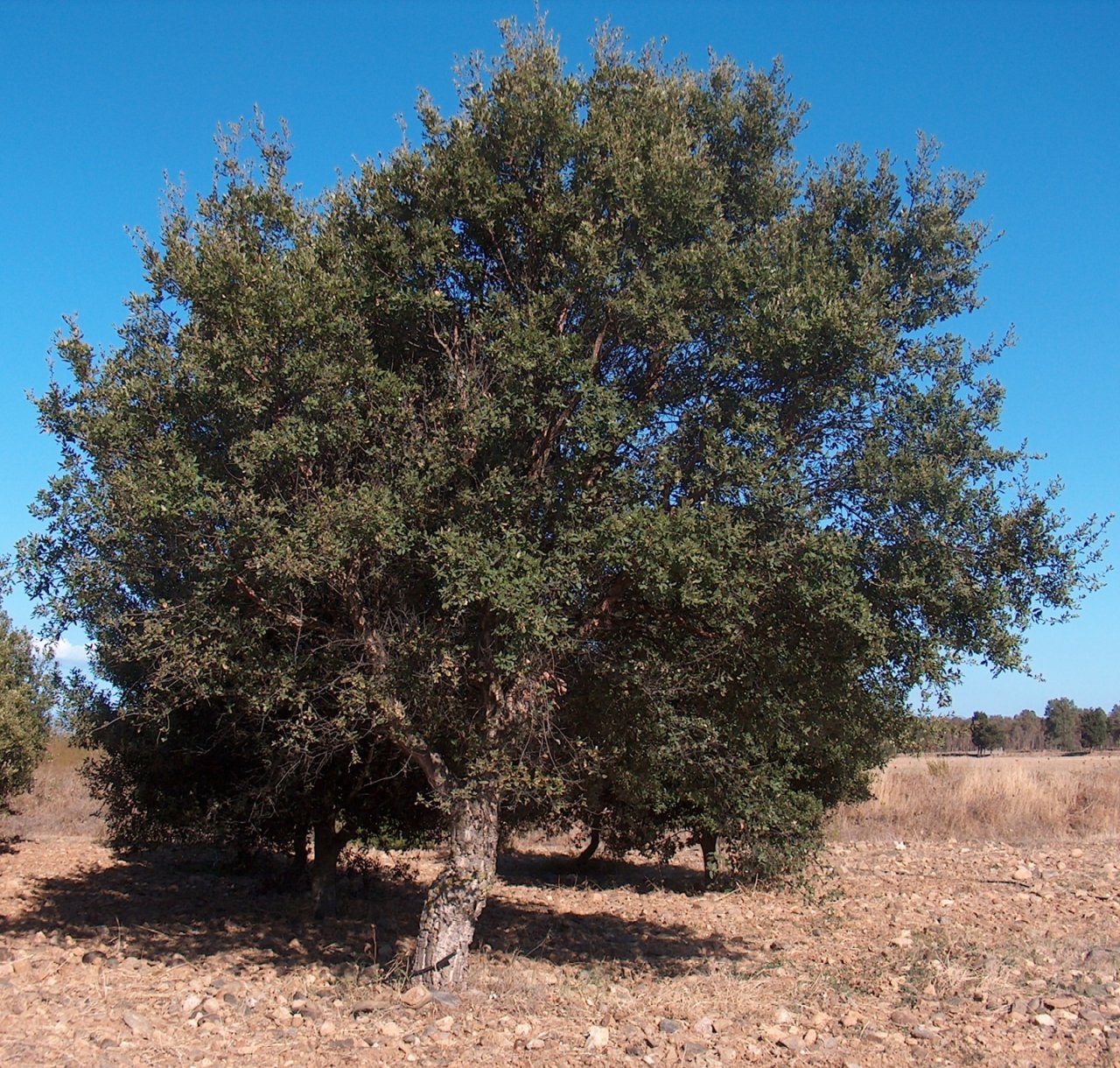 Group cover image