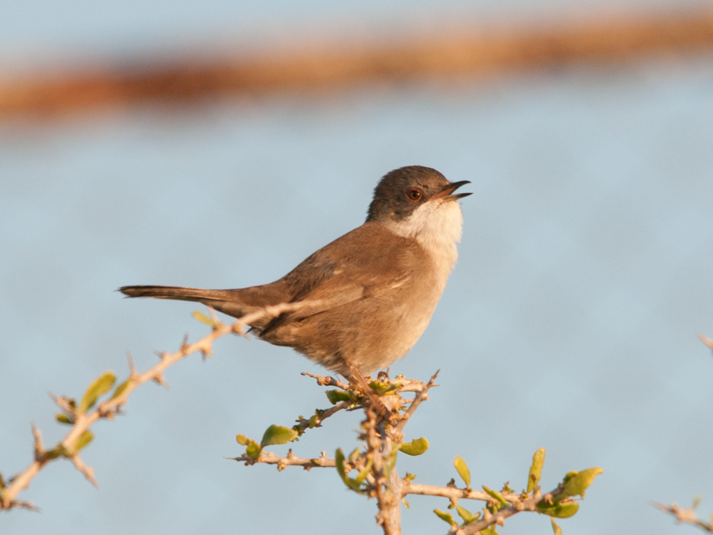 Group cover image
