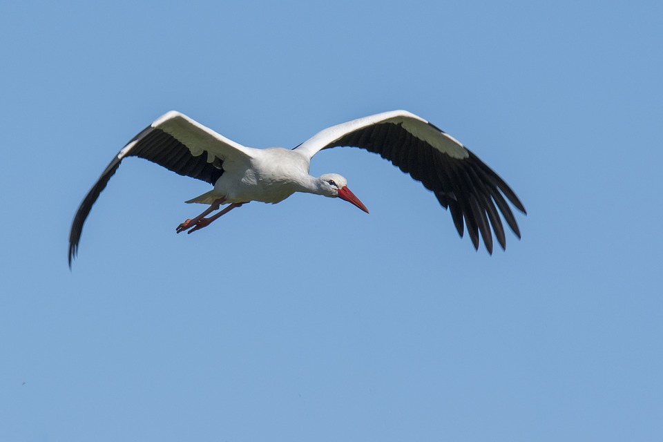 Group cover image