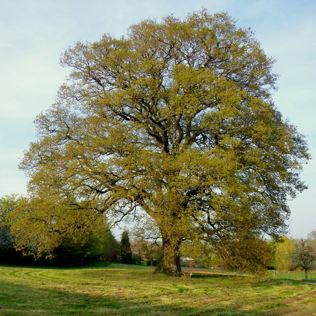 Group cover image
