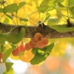 Group logo of China-PRC