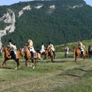 Group logo of Azerbaijan